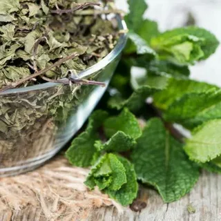 نعنا خشک تیار با کیفیت محلی و عطر فوق العاده